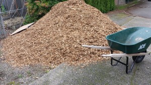  wood chips