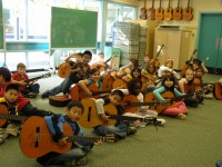  newton guitar