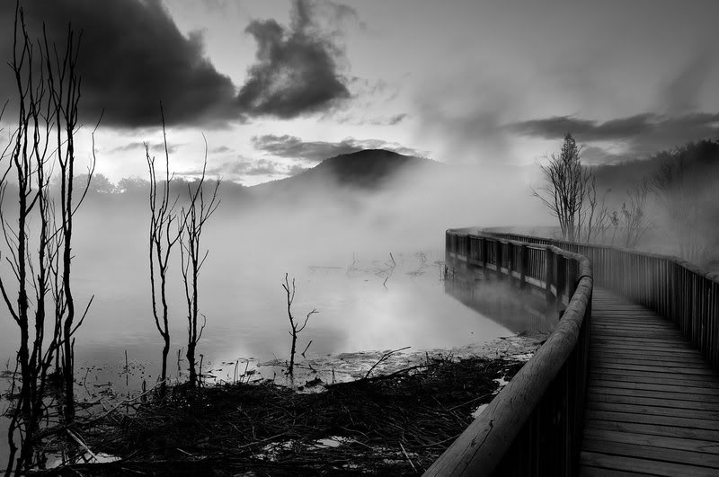 fog