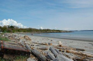 willows beach