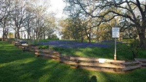  camus meadow