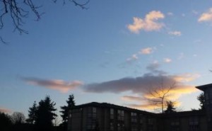  new morning