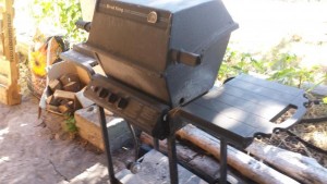 bbq pic