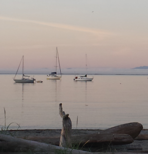  cadboro bay j 18