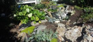  garden works