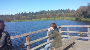  swan lake