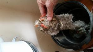  vacuum clot