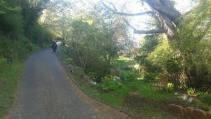  marions property