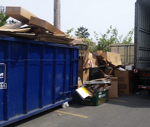  cardboard