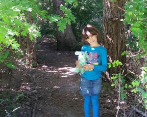  urban forest adventure
