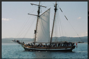  salts tall ship
