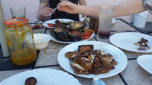  bbq